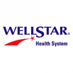 wellstar_hs-_color