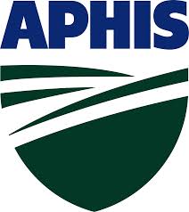 aphis